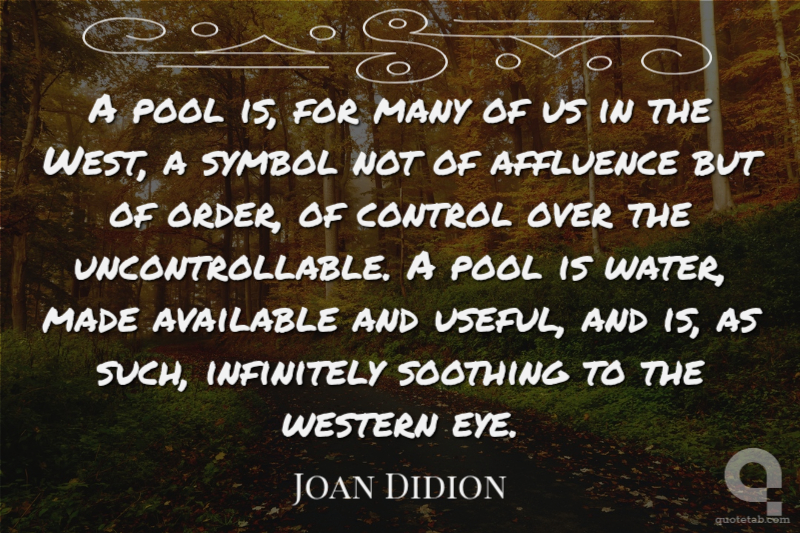 A pool is, for many of us in the West, a symbol not of affluence but of order, of control over the uncontrollable. A pool is water, made available and useful, and is, as such, infinitely soothing to the western eye.