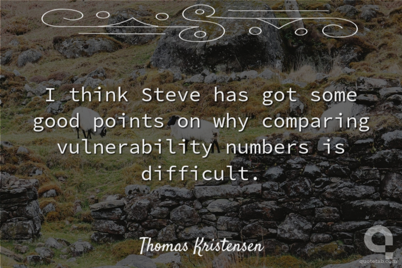 I think Steve has got some good points on why comparing vulnerability numbers is difficult.