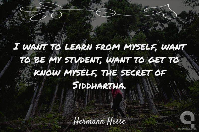I want to learn from myself, want to be my student, want to get to know myself, the secret of Siddhartha.