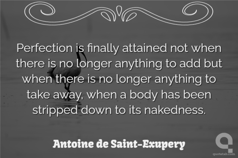 Perfection is finally attained not when there is no longer anything to add but when there is no longer anything to take away, when a body has been stripped down to its nakedness.