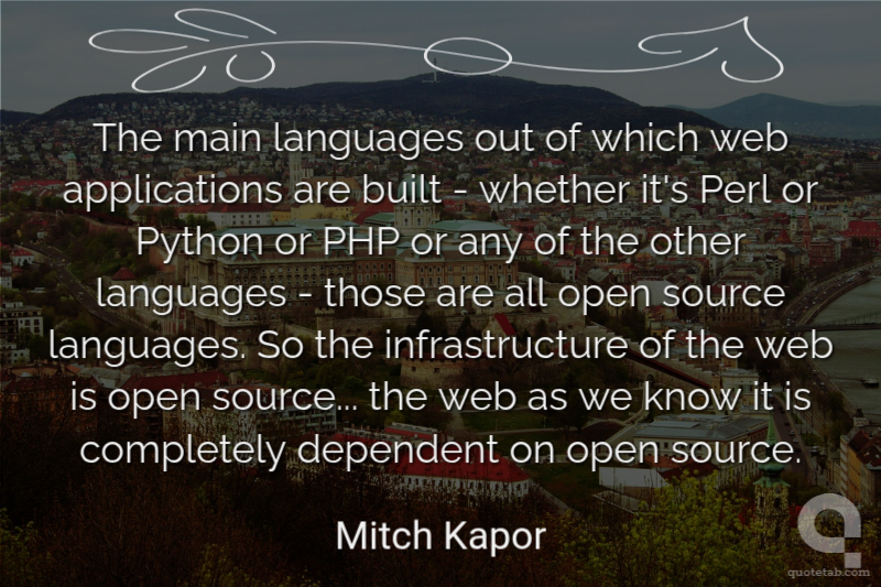 The main languages out of which web applications are built - whether it's Perl or Python or PHP or any of the other languages - those are all open source languages. So the infrastructure of the web is open source... the web as we know it is completely dependent on open source.