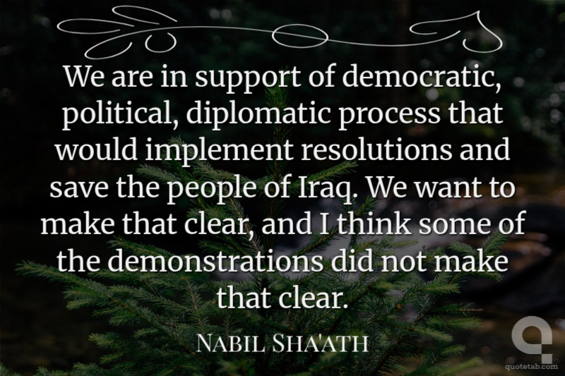 We are in support of democratic, political, diplomatic process that would implement resolutions and save the people of Iraq. We want to make that clear, and I think some of the demonstrations did not make that clear.