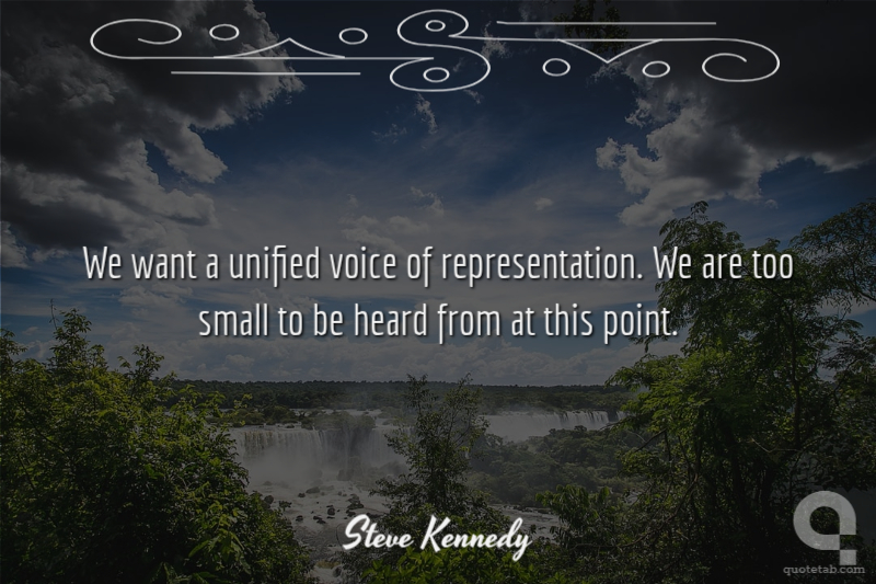 We want a unified voice of representation. We are too small to be heard from at this point.
