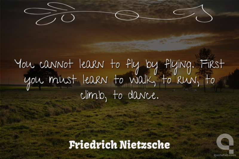 You cannot learn to fly by flying. First you must learn to walk, to run, to climb, to dance.